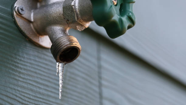 Best Clogged Drain Plumber  in Bismarck, MO